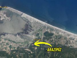 |bursa| Ormanın İçinde Deniz Manzaralı Emsali Bulunamayacak Zeytinlik