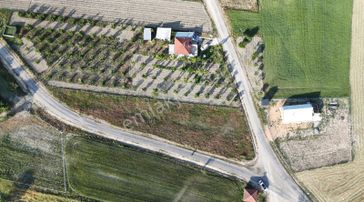 Göynük Kılavuzlarda Asfalt Kenarı Arazi