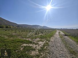 Elit Emlak'tan Ilıcak Su Mevkinde Kaçırılmayacak Çiftlik