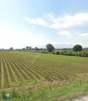 Bayındır Hasköy'de Elektrik-su-yol Mevcut 6792 M2 Satılık Tarla