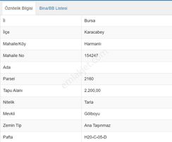 Karacabey Bursa Asfaltına Cephe Yatırımlık Mükemmel Arazi