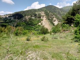 Bolu Göynük Hisarözü Köy İçi İmarlı Satılık Yatırımlık Arsa