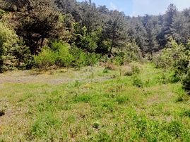 Bolu Göynük Hisarözü Köy İçi İmarlı Satılık Yatırımlık Arsa