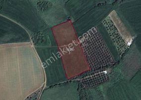 |erdek| Kapıdağ'ın İki Tarafını Da Gören Eşsiz Yatırımlık Arazi! | Bandırma 7 Dakika!