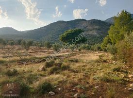 Yakabağ Mahallesinde 11.290m2 Tarla