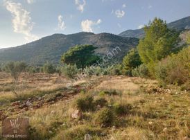 Yakabağ Mahallesinde 11.290m2 Tarla