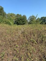 Hendek Sukenarı Mahallesinde 3.390 M² Satılık Tarla