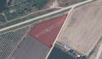 |karacabey| İmar Sınırında Otoyol Yanı Köşe Parsel Yatırım Fırsatı!