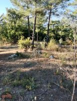 Grow Emlak Satılık 3100 M2 Tarla