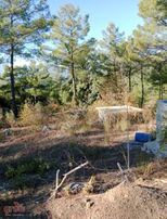 Grow Emlak Satılık 3100 M2 Tarla