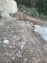 Sahibinden Acil Satılık Zeytinlik Tarla