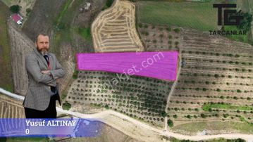 Tarcanlar'dan Akmeşe Bağlıca'da Yatırımlık 4085m2 Tarla