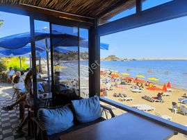 Amasra Büyük Fırsat Alkol Ruhsatlı Canlı Müzik Cafe Bar