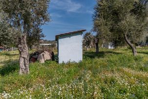 Cb Marina'dan Hisarönü'nde 3191m2 Arazi Ve 2+2 Ev