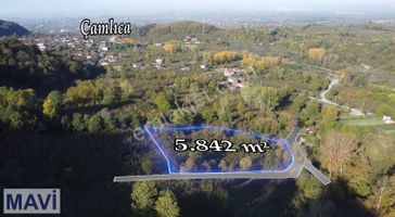 Remax Mavi Den 5842 M² Çift Yol Cepheli İmar Sınırında F.bahçesi