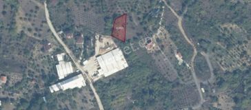 Geyvede Elektrik Su Yol Sorunu Olmayan 710 Metrek. Satılık Tarla