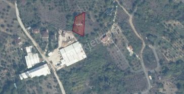 Geyvede Elektrik Su Yol Sorunu Olmayan 710 Metrek. Satılık Tarla