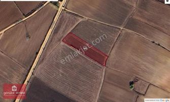 Kırklareli Kavaklı'ya Yakın Anakanal Yanında Sulanabilir 4.800m²