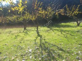 Uzun Emlak'tan Sancaklı Çeşmebaşında ( Sülüklügöl Civarı) Tarla)