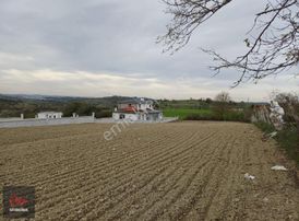 Kandıra Alaybey'de, %40 İmarlı, 2350m2 Müstakil Parsel