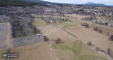 Yunus Emre Özcan İnşaat Emlâk