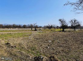 Yunus Emre Özcan İnşaat Emlâk