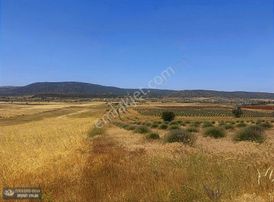 Yunus Emre Özcan İnşaat Emlâk