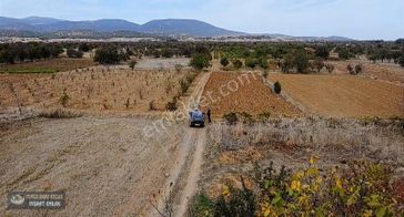 Yunus Emre Özcan İnşaat Emlâk
