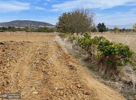 Yunus Emre Özcan İnşaat Emlâk