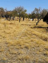 Yunus Emre Özcan İnşaat Emlâk