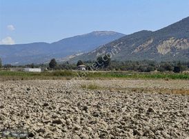 Yunus Emre Özcan İnşaat Emlâk