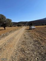 Korkuteli Avdan Susuz Da Satılık Parsel