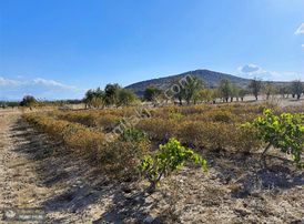 Yunus Emre Özcan İnşaat Emlâk