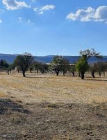 Yunus Emre Özcan İnşaat Emlâk