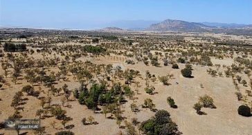 Yunus Emre Özcan İnşaat Emlâk