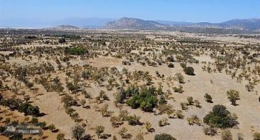 Yunus Emre Özcan İnşaat Emlâk