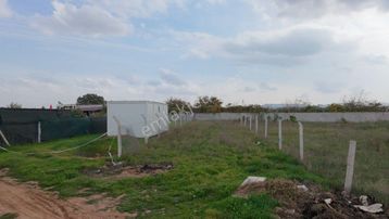 Menderes Develi'de 277 M2 Tapudan Satışlı Tarla