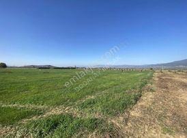 Doğanay Emlaktan Satılık Tarla