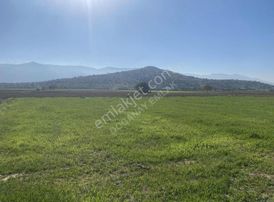 Doğanay Emlaktan Satılık Tarla