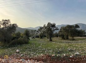 Fethiye Gayrimenkulden Seydikemer Eşende Köşe Parsel İmarlı