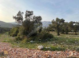 Fethiye Gayrimenkulden Seydikemer Eşende Köşe Parsel İmarlı