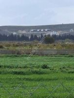 Foça Gerenköyde 4731 M2 Arazim Satılıktır