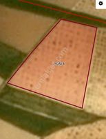 Sahibinden Kilis Elbeyli Karacurunda Acil Satlık Tarla