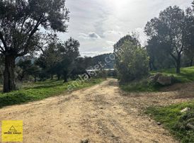 Yunuslarda 900m2 Köy Yerleşik Sınırında Bahçe