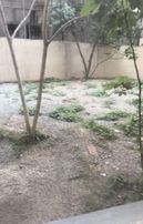 Sahibinden 600 Evlerde Kiralık Daire 2+1 İşyeri Ofis