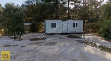 Ofis Bodrum | Bodrum Torba Kavşağı Kiralık 2.116 M² Tarla