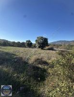 Satılık Dam Ve Tarla