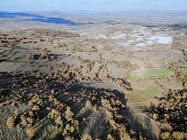 Kavaklı Mahallesi'nde Satılık 16.717 M² Yolu Olan Tarla