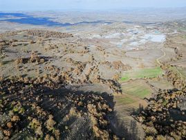 Kavaklı Mahallesi'nde Satılık 16.717 M² Yolu Olan Tarla