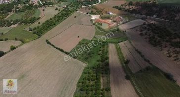 9 Dönüm %5 İmarlı Yetişkin Kiraz Bahçesi -osmanlı Gayrımenklden